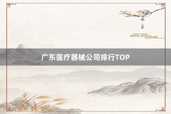 广东医疗器械公司排行TOP
